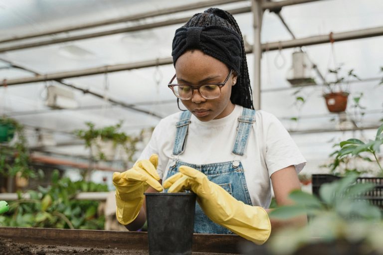 Can You Grow Cucumbers in a Pot?